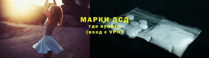 дмт Аркадак