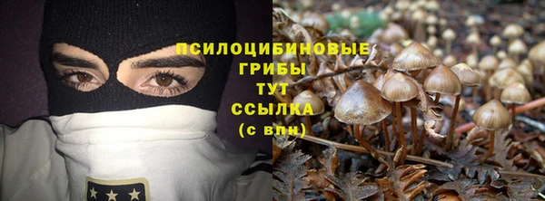 Альфа ПВП Арсеньев