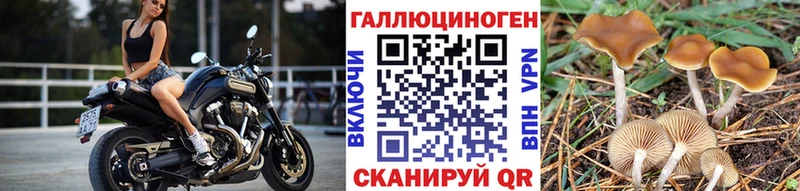 Псилоцибиновые грибы прущие грибы как найти закладки Арск